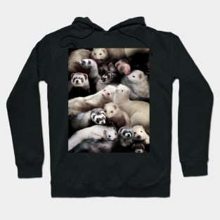 Ferrets Hoodie